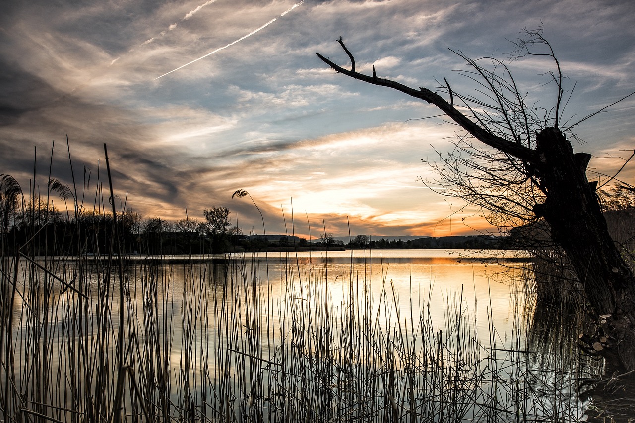 lake-1412216_1280